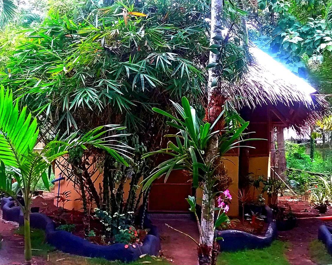 Lennon'S Place Backpacker Hostel Panglao Eksteriør billede